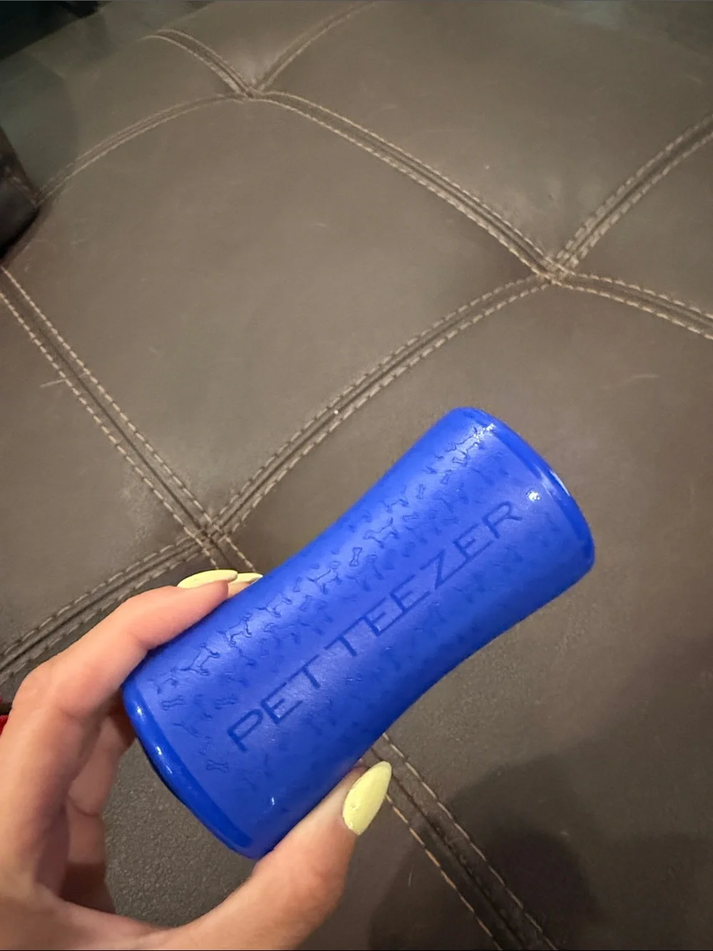 Detangling Dog Hair Brush